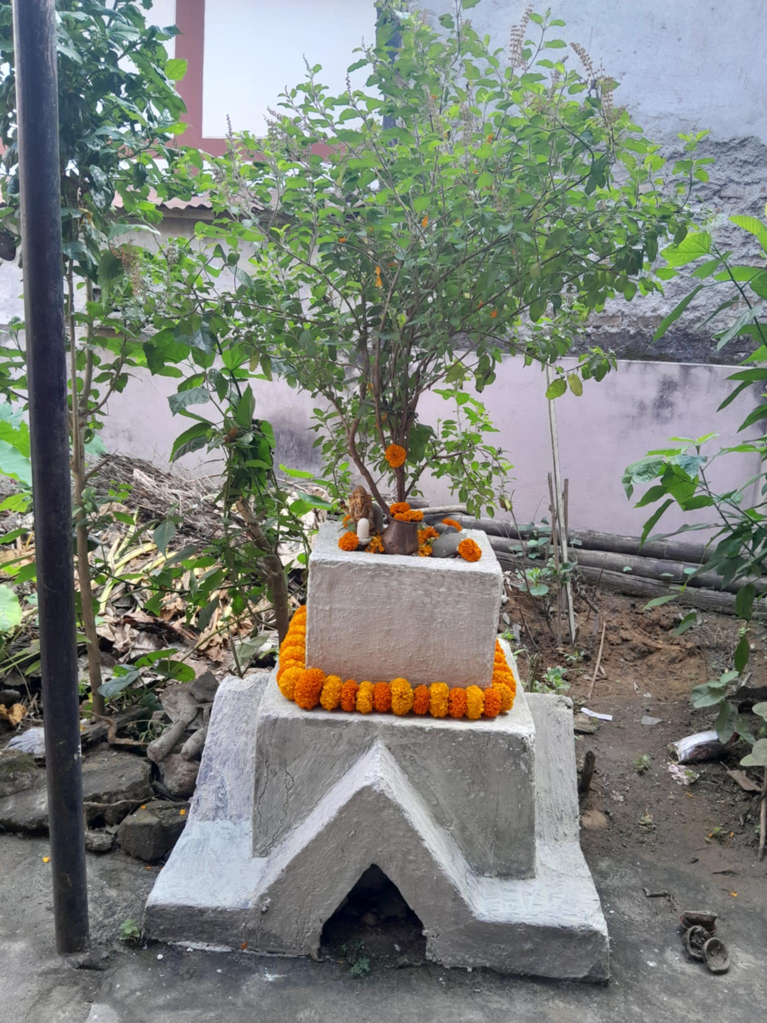 भगवान् विष्णुको प्रतीकका रूपमा तुलसीको दामोदरसँग विवाह र विशेष पूजा गरी मनाइने हरिबोधिनी एकादशी पर्व आज मनाइँदै